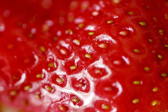 Tasty fresh strawberry summer season close up  
