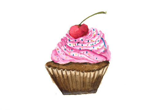 Cup cake watercolor illustrator on white background