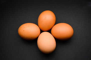 Chicken egg on a dark background.