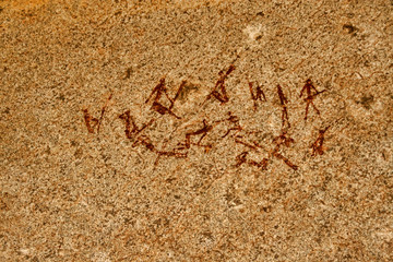 Bushmen rock painting of human figures and antelopes, giraffe of the Matopos National Park, Zimbabwe
