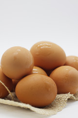 Egg on white background