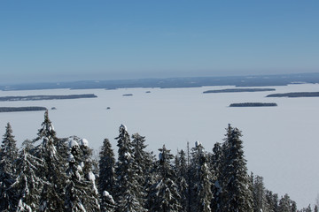 The lake Pielisjärvi seen from the Koli