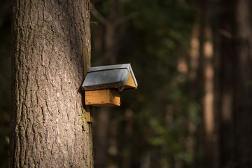 Vogelhaus am Baum im Sonnenlicht