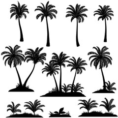 Naklejka premium Ustaw palmy, egzotyczne krajobrazy, rośliny tropikalne i czarne sylwetki trawy na białym tle. Wektor