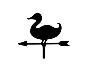Duck, Weather Vane, Wind Direction