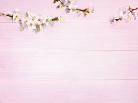 Plum spring flowers on the wooden planks background