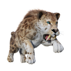 Fototapeta premium 3D Rendering Sabertooth Tiger on White