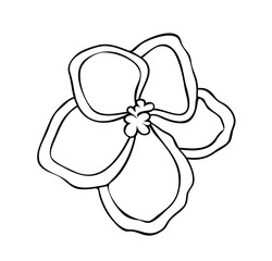 Vector illustration, violet Saintpaulia flower with border in black and white colors