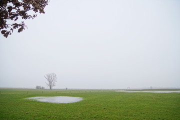 Norddeutsche Weidelandschaft