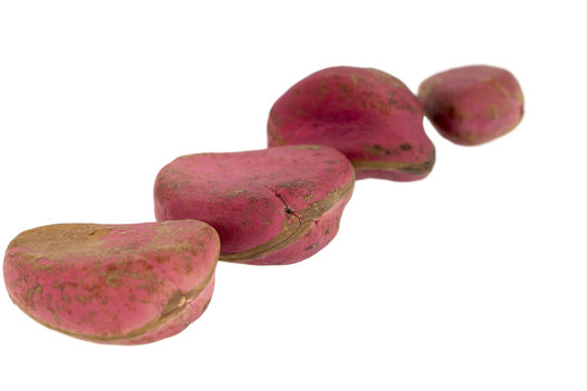 Kola nuts on a white background