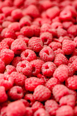 Fresh raspberry and basil background closeup photo.Detox diet food and raw vegan concept.