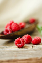 Fresh sweet raspberry and green basil in a wooden plate. Calm gamma. Close-up, macro..Selective focus.