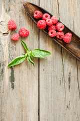 Fresh sweet raspberry and green basil in a wooden plate. Calm gamma. Close-up..Top view.