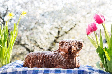 Czech Easter - chocolate easter lamb with spring decoration
