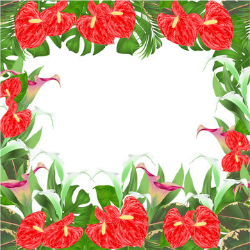 Floral border natural background with blooming lilies Cala and anthurium, palm,philodendron and ficus vector Illustration for use in interior design greeting cards