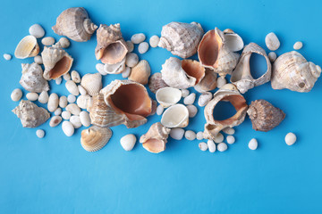 Obraz na płótnie Canvas Sea vacation frame with shell on blue