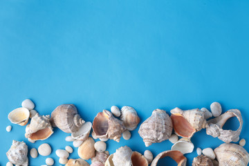 Obraz na płótnie Canvas Sea vacation frame with shell on blue