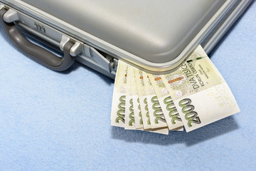 Czech money scratched in a gray metal suitcase. Many green banknotes in a briefcase. Money ready in...