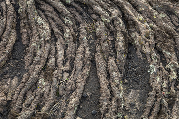 volcanic background or texture