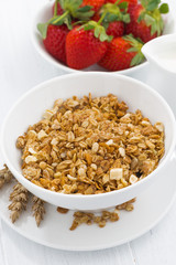 homemade baked muesli, strawberries and milk, closeup