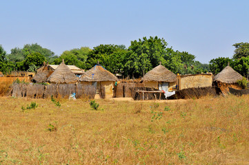 Fototapeta na wymiar Village in Senegal, Africa 