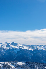 Obraz na płótnie Canvas snow-covered mountains and forest against the blue sky