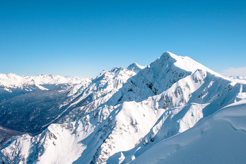 snow-covered mountains and forest against the blue sky