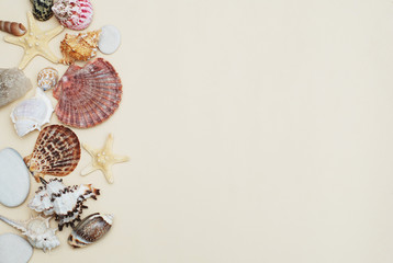 Obraz premium Summer and Vacation concept. Mix of Shells and Stones over Ivory Background with Copy space for Text. Top View.