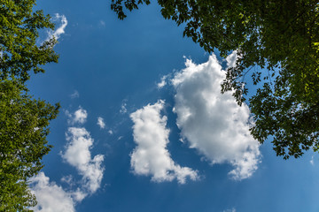 Sky, clouds and trees