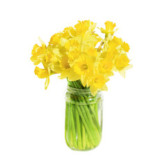 Żonkile bukiet narcyzów © mlaine