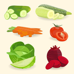 Vector illustration with vegetable. Healthy food.
