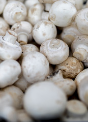 Fresh, delicious organic button mushrooms on a farmers market stall in the UK