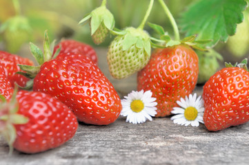  fresh and ripe strawberry on a plank with flowers in a garden 