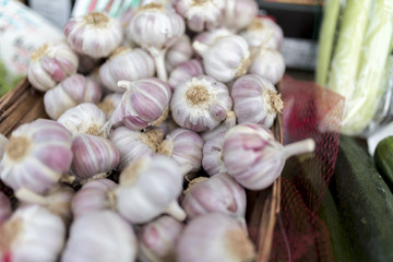 Fresh and organic garlic cloves close up on a farmers market stall in the UK
