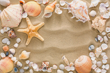 Fototapeta na wymiar Seashells and pebbles background, natural seashore stones