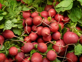 Radishes