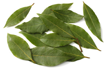 Obraz premium Laurel leaves isolated on a white background top view