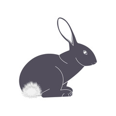 Rabbit with a fluffy tail vector icon.