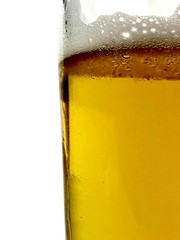 Side view of a clear glass of beer against a white background