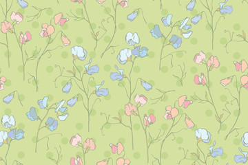 A Sweet pea, on a background of peas. Lathyrus odoratus - an airy, sweet and light flower. The tenderness of peach and lilac tones in the color of peas.
