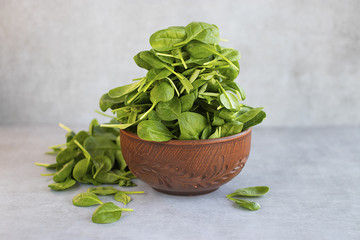 Fresh green spinach in brown bowl on gray background.