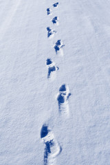 footprints in the snow, leaving into the distance