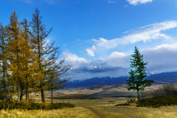 The landscape of Altai mountains , in autumn, Siberia, Russia.