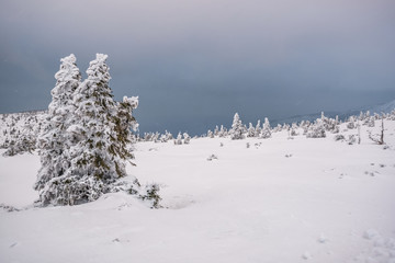 Beautiful landscape of winter Karkonosze mountains, Panorama