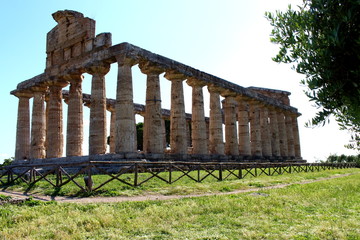 Fototapeta premium THE TEMPLE OF ATENA - Paestum