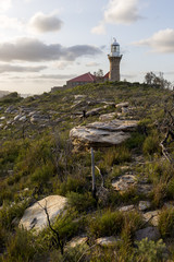 Palm Beach, NSW, Australia