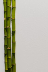 branches of a bamboo board on a white background, 