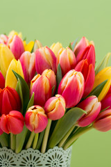 Obraz premium A colorful spring greetings card with tulips for Easter, Mother's Day.