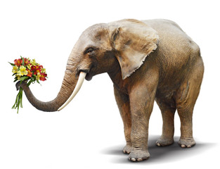 Obraz premium Elephant handing a bouquet of blooming flowers. Concept for greeting card, poster, cover, and more.