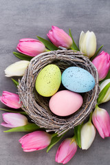 Pink tulip with pink eggs nest on a gray background. Easter greetings card.